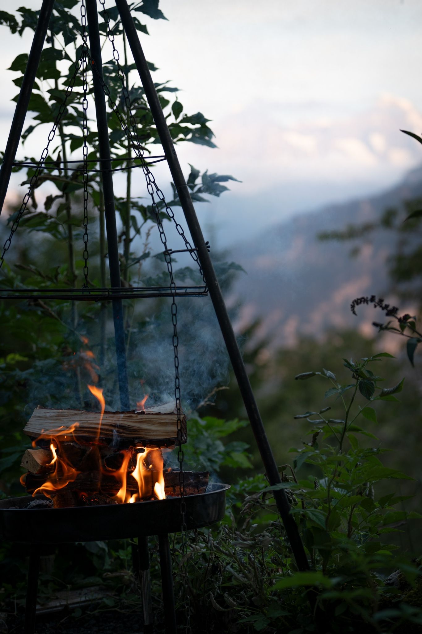 Chakra - Healing - Seminare