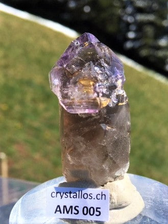 Zepter Amethyst AMS 005