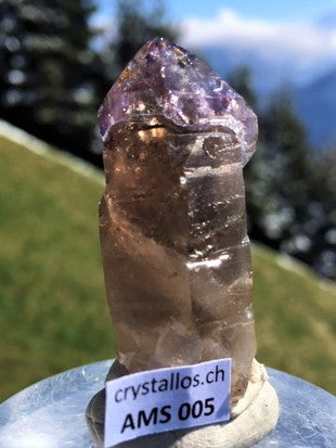 Zepter Amethyst AMS 005