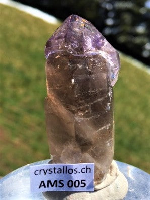 Zepter Amethyst AMS 005