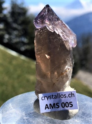 Zepter Amethyst AMS 005