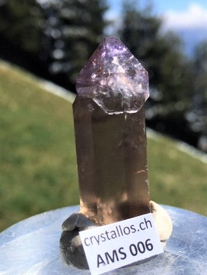 Zepter Amethyst AMS 006