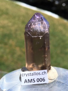 Zepter Amethyst AMS 006