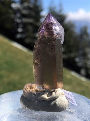 Zepter Amethyst AMS 006
