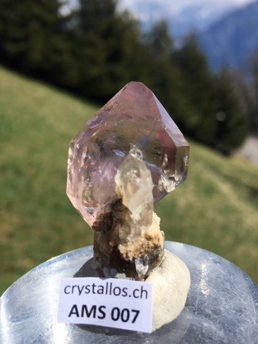 Zepter-Amethyst AMS 007