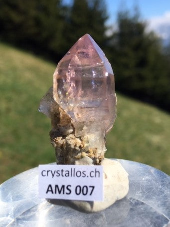 Zepter-Amethyst AMS 007