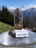 Zepter Amethyst AMS 008
