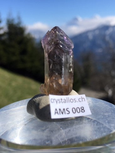 Zepter Amethyst AMS 008