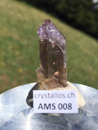 Zepter Amethyst AMS 008