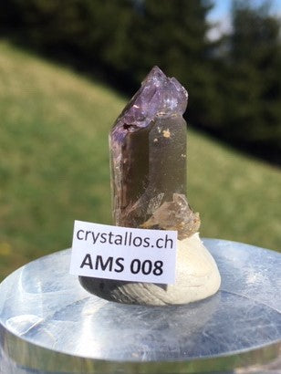 Zepter Amethyst AMS 008