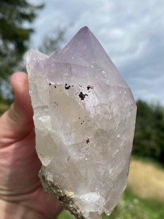 Zepter Amethyst AMS 023