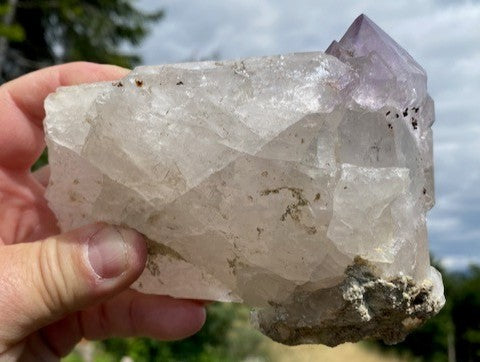 Zepter Amethyst AMS 023