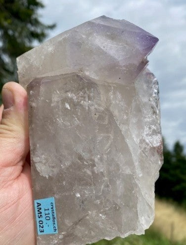 Zepter Amethyst AMS 023
