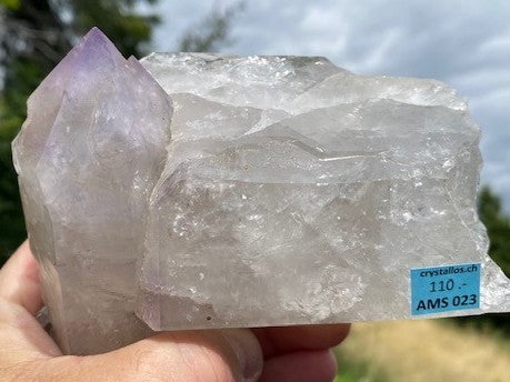 Zepter Amethyst AMS 023