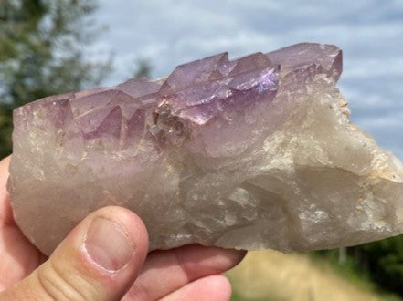 Zepter Amethyst AMS 029