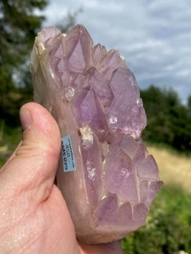 Zepter Amethyst AMS 029