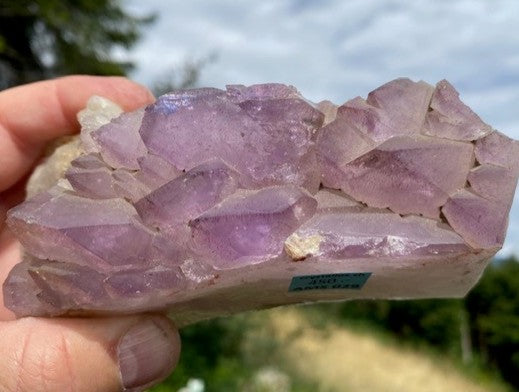 Zepter Amethyst AMS 029