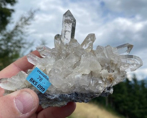 Bergkristall Stufe BKS 099