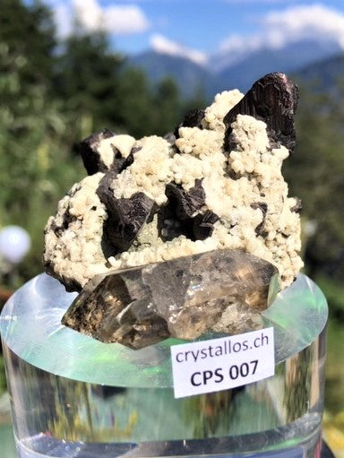 Chalkopyrit CPS 007