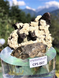 Chalkopyrit CPS 007