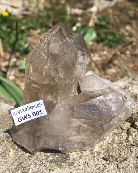 Gwindel GWS 001