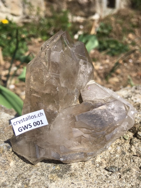Gwindel- Rauchquarz GWS 001