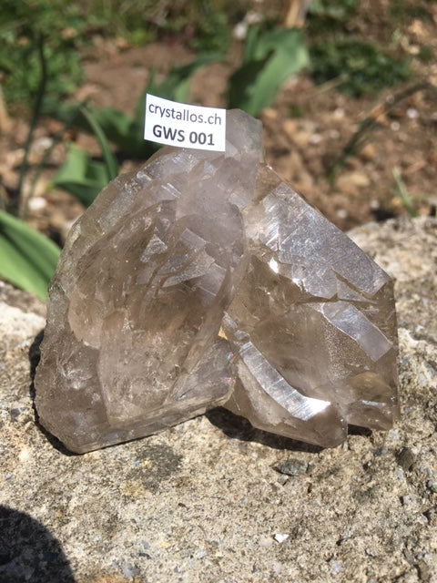 Gwindel GWS 001