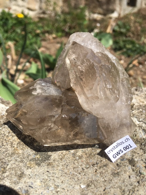 Gwindel GWS 001