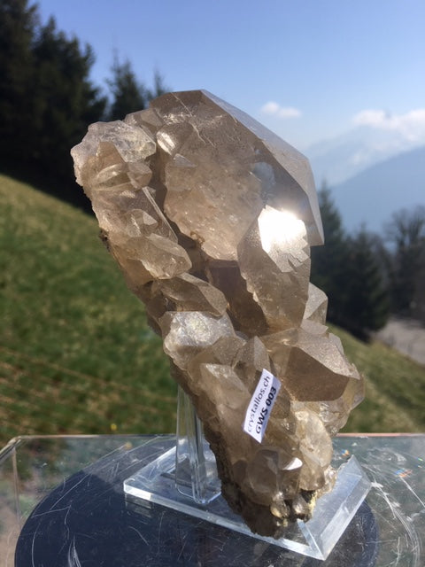 Gwindel Stufe GWS 003