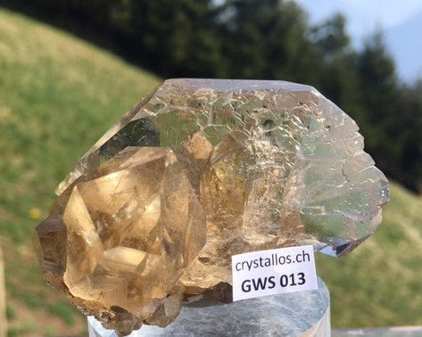 Gwindel GWS 013