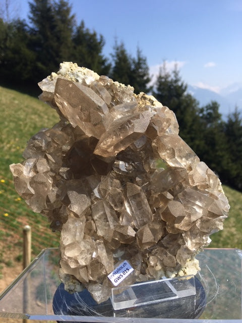 Gwindel Rauchquarz Stufe mit 2 GwindelmGWS 015