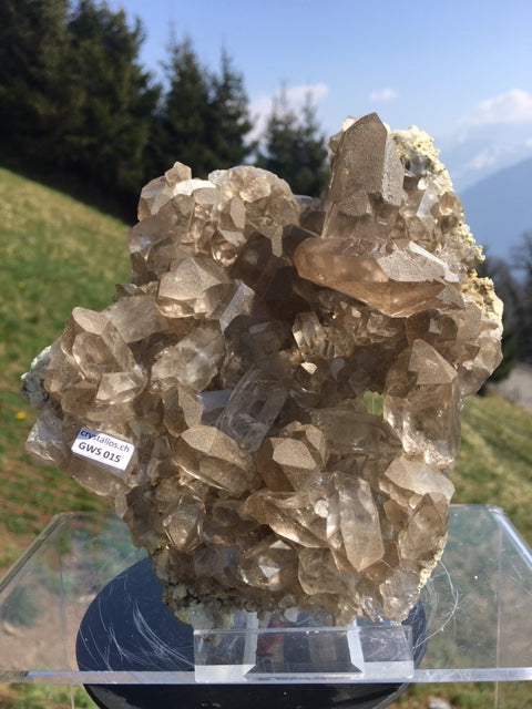 Gwindel Rauchquarz Stufe mit 2 GwindelmGWS 015