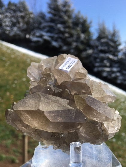 Gwindel GWS 021