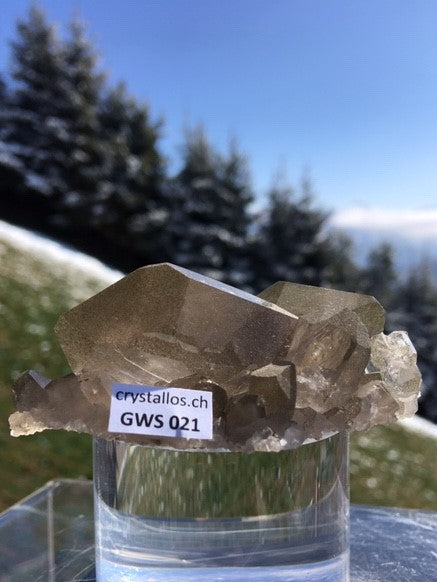Gwindel GWS 021