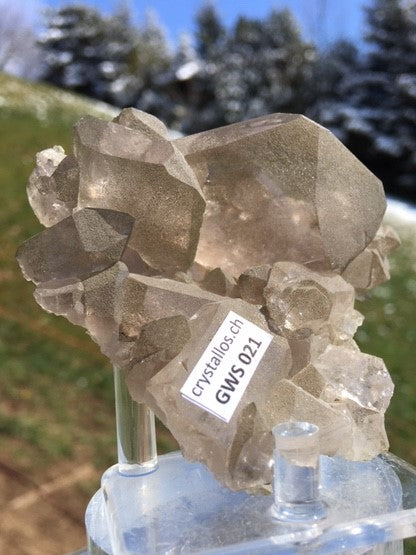 Gwindel GWS 021