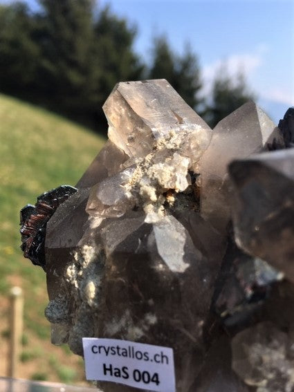 Eisenrose mit Rutil HAS 004