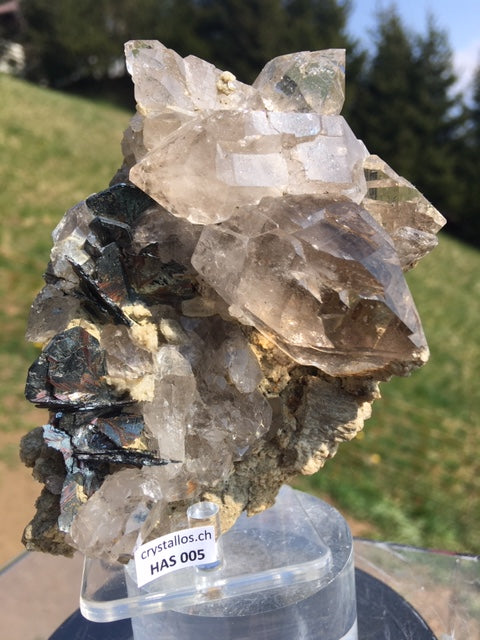 Eisenrose auf Rauchquarzstufe HAS 005