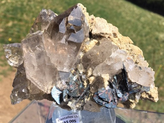 Eisenrose auf Rauchquarzstufe HAS 005