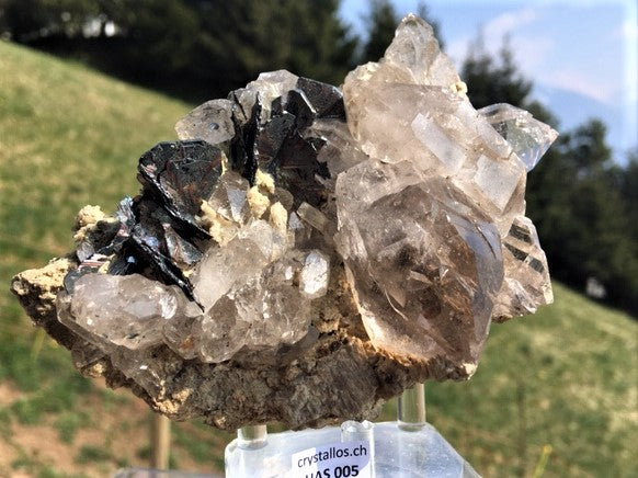 Eisenrose auf Rauchquarzstufe HAS 005