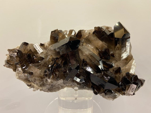 Rauchquarzstufe RAB 009