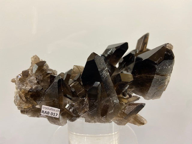 Rauchquarzstufe RAB 017