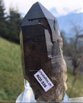 Rauchquarz Morion RQS 026