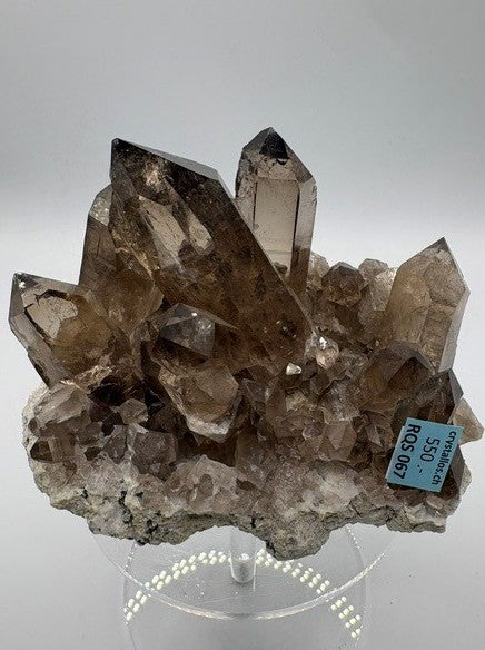 Rauchquarz Schweiz RQS 067