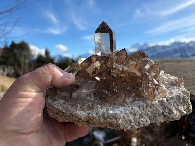 Rauchquarz Sammlerstufe