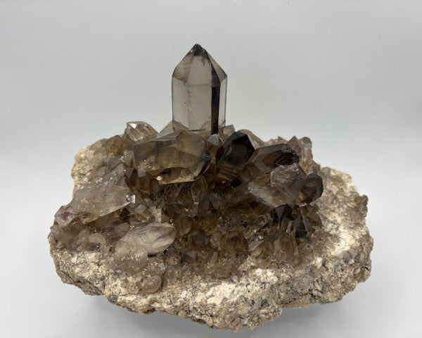 Rauchquarz Sammlerstufe