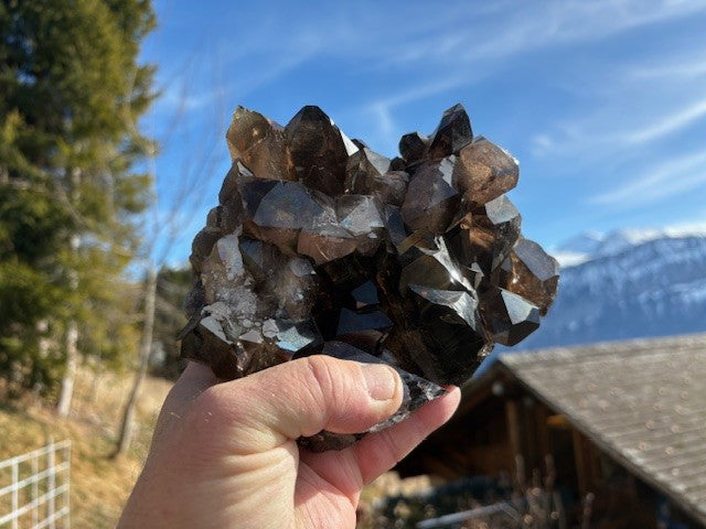 Rauchquarz-Morion RQS 063