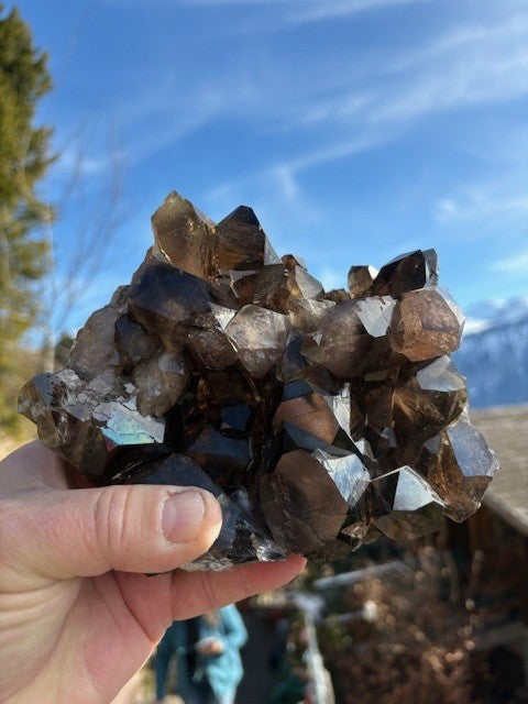 Rauchquarz-Morion RQS 063