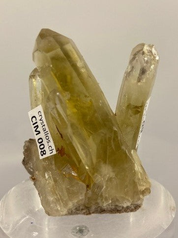 Citrin Stufe CIM 008