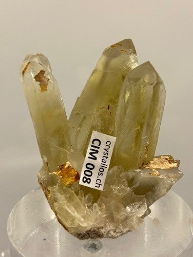 Citrin Stufe CIM 008