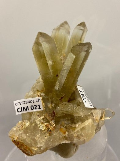 Citrin Stufe CIM 021